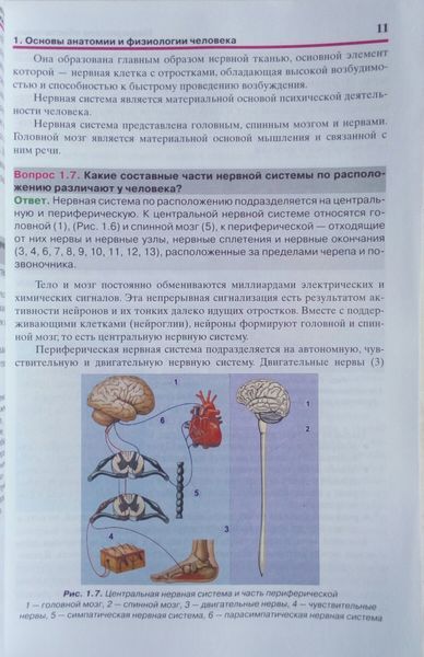 МЕДИЦІНКЕ ЗАСТОСУВАННЯ БЕЗПЕЧНОСТІ ДОРОЖНОГО РУХУ у питаннях та відповідях 772825855 фото