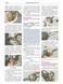 Книга ВАЗ - 2110 &bull; 2111 &bull; 2310 LADA 110 /111/112 16 -клЭксплуатация &bull; Обслуживание &bull; Ремонт Цветные фото 1624942001 фото 2