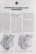 Книга MAZDA 626 Бензин Дизель Модели 1987-1993 гг. Руководство по ремонту и эксплуатации 665759545 фото 4